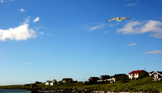 DSC09961 