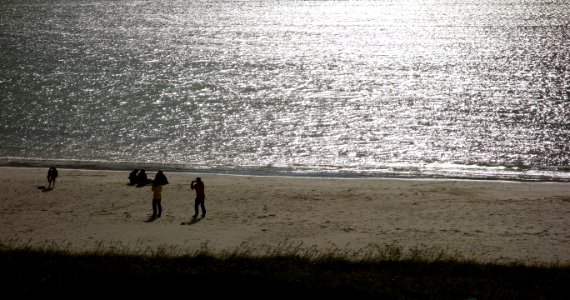 DSC09938 