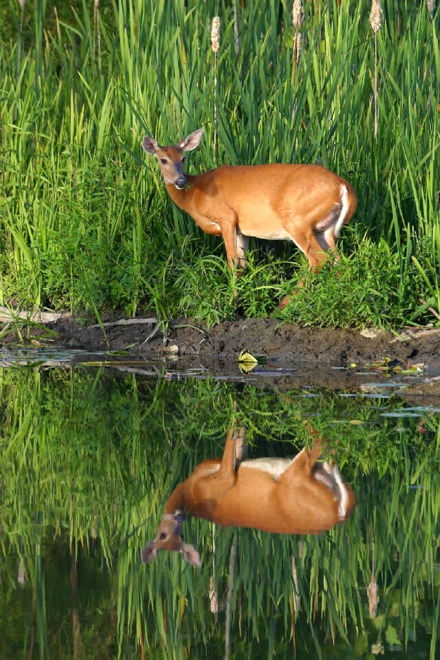 Looking outdoors water photo