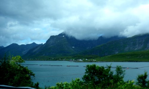 DSC09814 