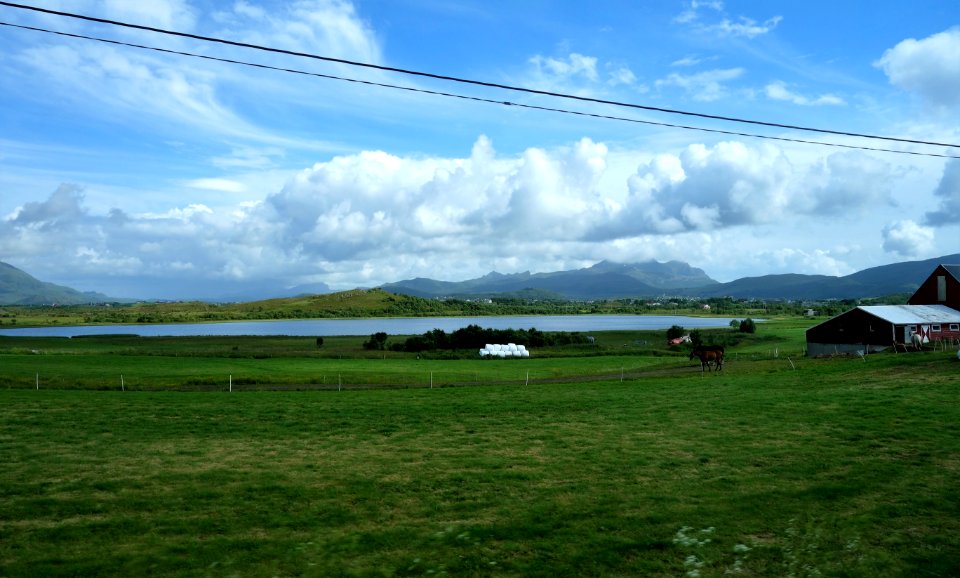 DSC09754 