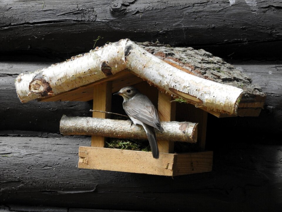 Nesting help nature nesting place