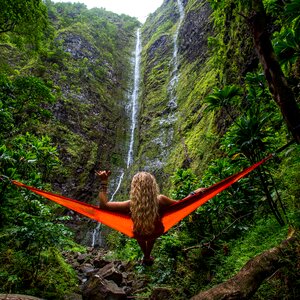 Nature outdoors person