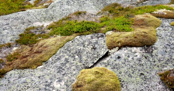 DSC09406 