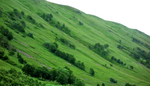 DSC09228 