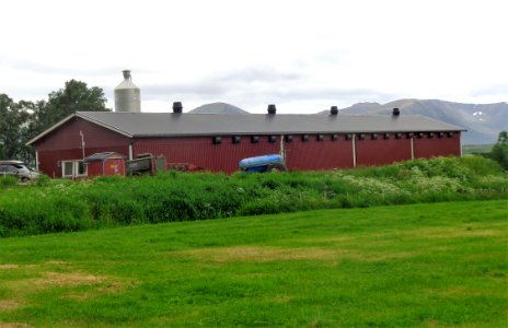 DSC09230c 