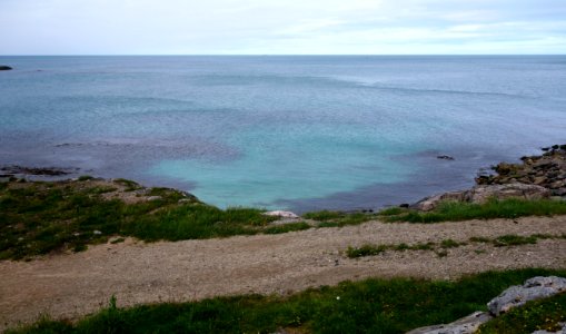 DSC09224 