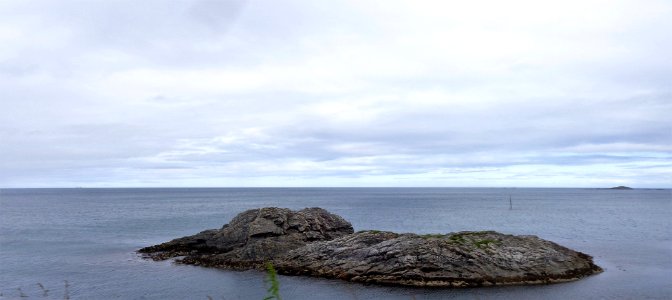 DSC09219b 