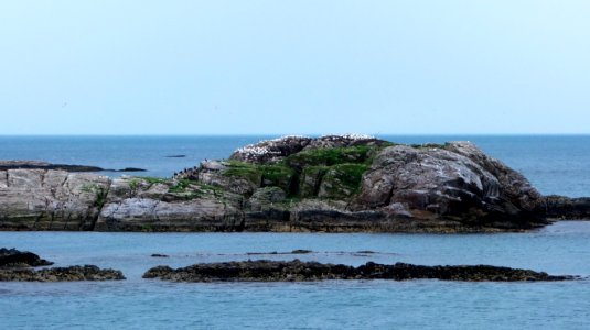 DSC09220 