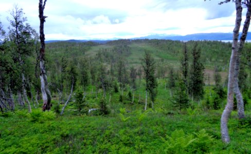 DSC09052a 