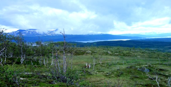 DSC09048 