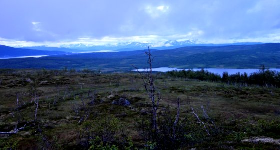 DSC09043 