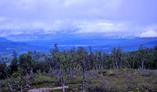 DSC09045 