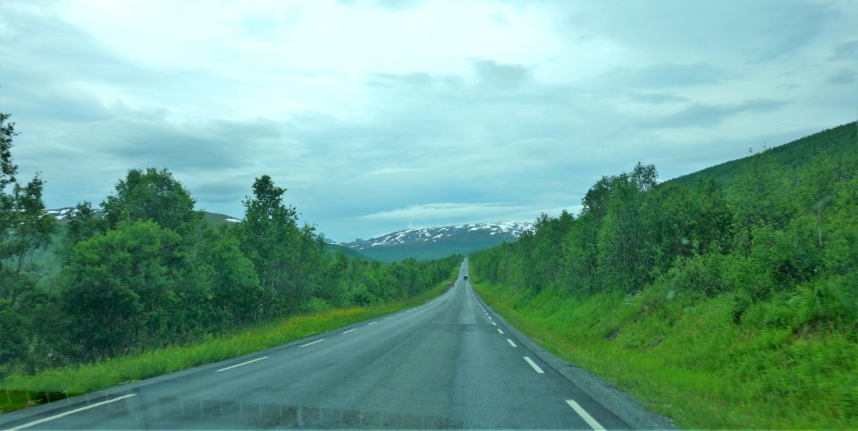 DSC09024 