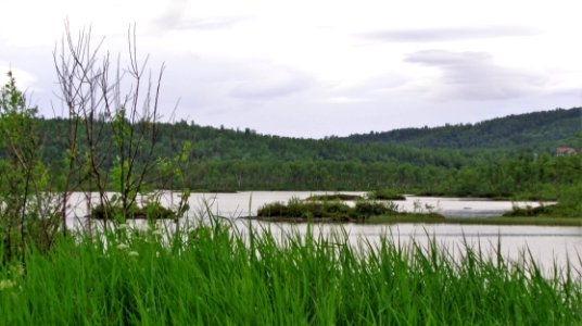 DSC09018b 