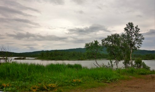 DSC09018 