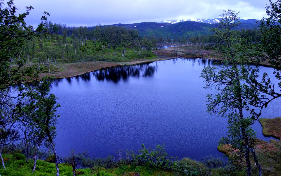 DSC09028 