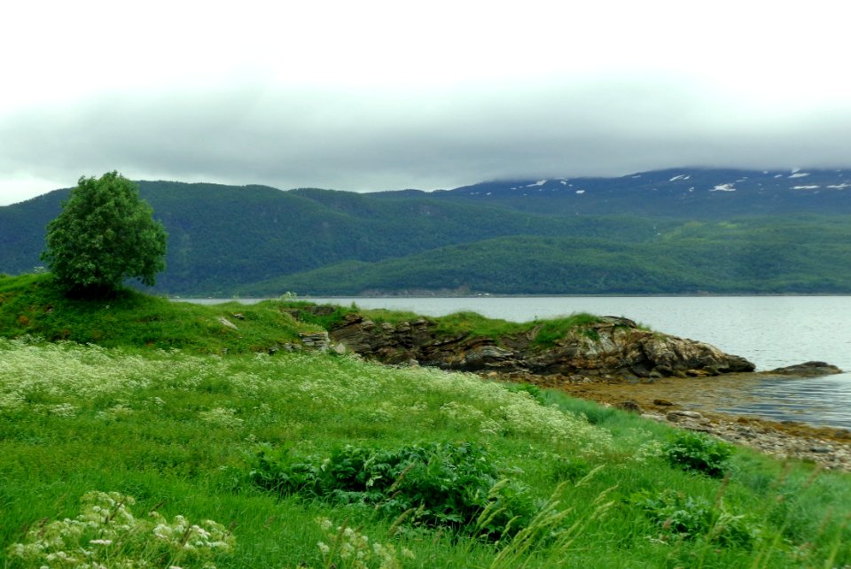 DSC09013c 