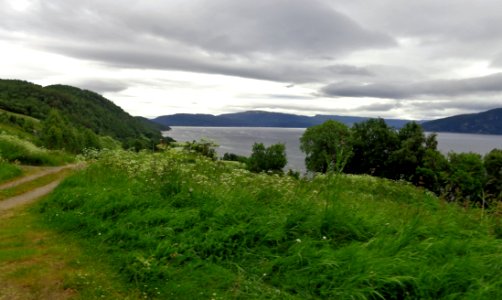DSC09013a 