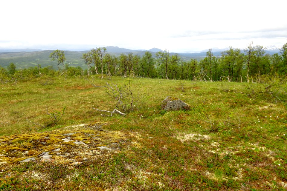 DSC08974b 