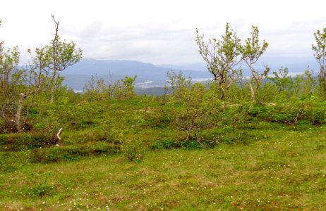 DSC08952a 