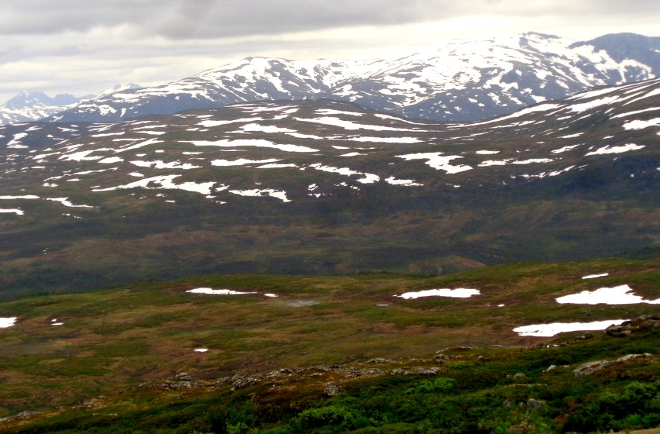 DSC08918e 