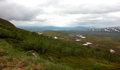 DSC08906 