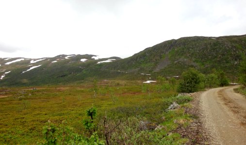 DSC08903 