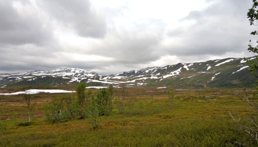DSC08902 