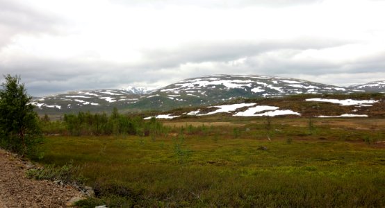 DSC08901 