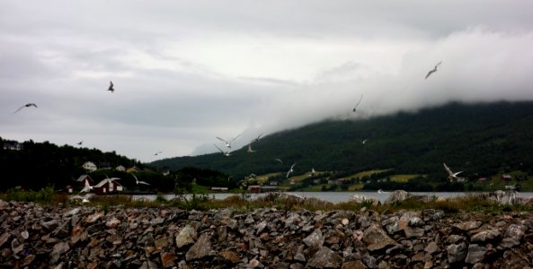 DSC08858 