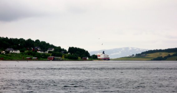 DSC08773 