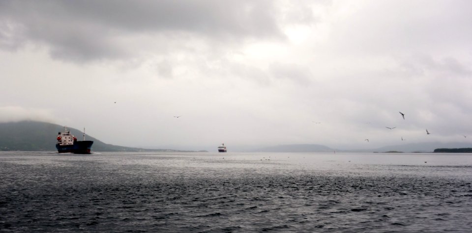 DSC08759 