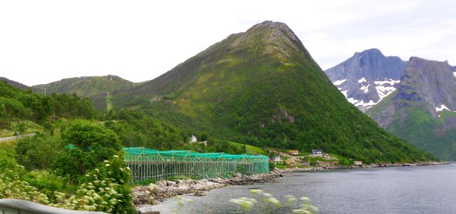 DSC08718a 