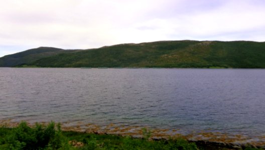 DSC08705b 