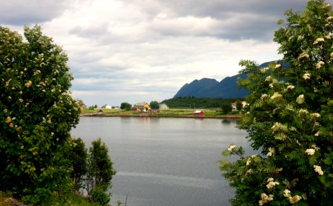 DSC08481 