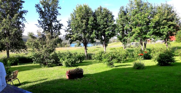 DSC08445a 