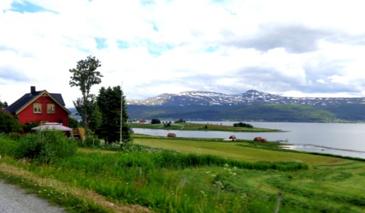 DSC08442c 