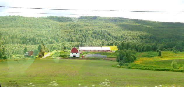 DSC08432c 