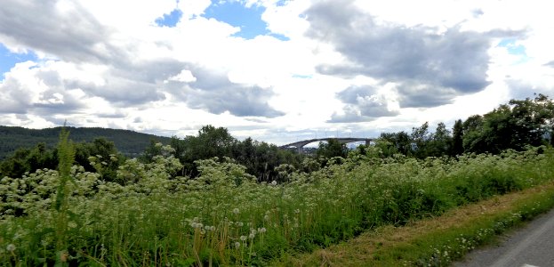 DSC08442a 