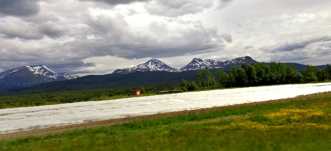 DSC08432b 