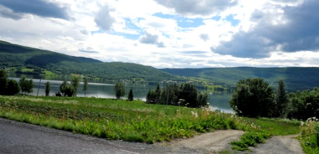 DSC08431 