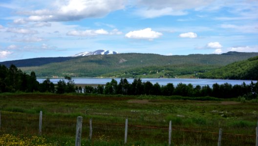 DSC08426 
