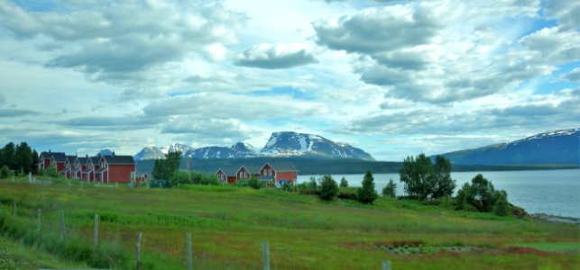 DSC08381 