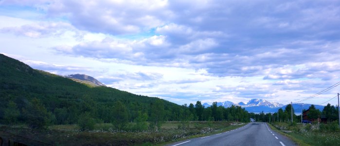 DSC08370 