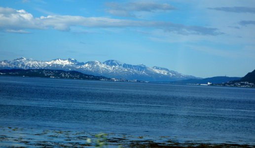DSC08362 
