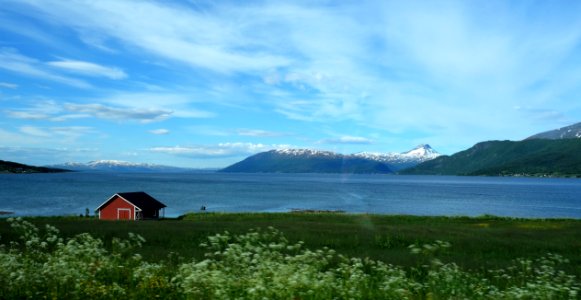DSC08352 