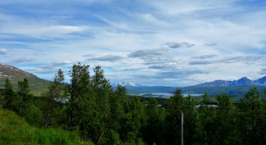 DSC08335 