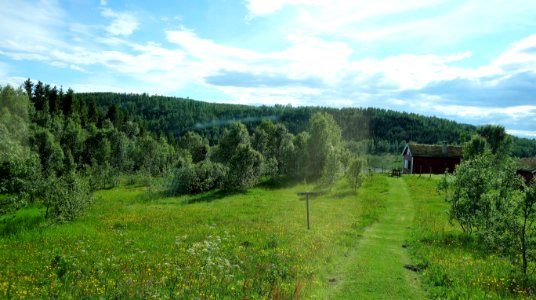 DSC08325 