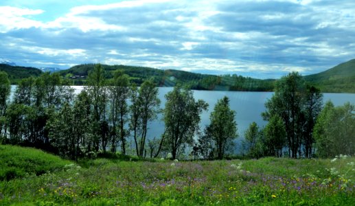 DSC08324 